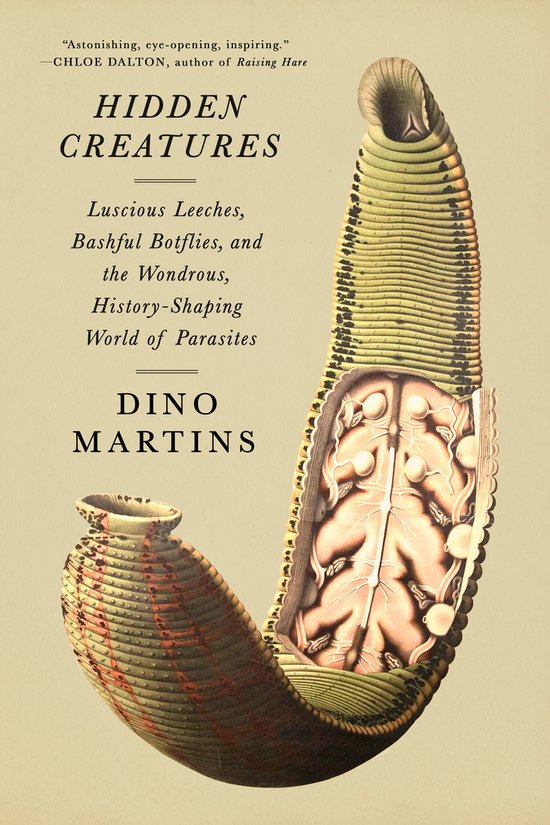 Hidden Creatures - cover