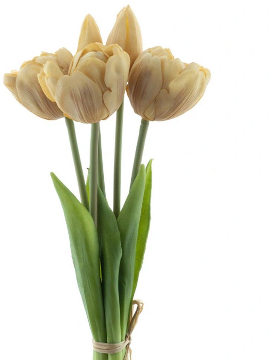 Erutan avon - PSO Triumph tulip bundle Sally x5 champagne 29 cm