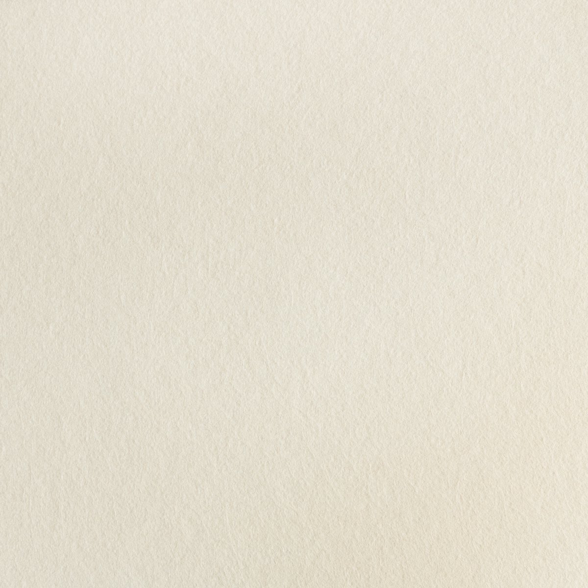 Wandpaneel vilt, licht beige - 2950 x 600 mm | 9mm dik | Verbetert de akoestiek | Eenvoudige montage | Wanddecoratie