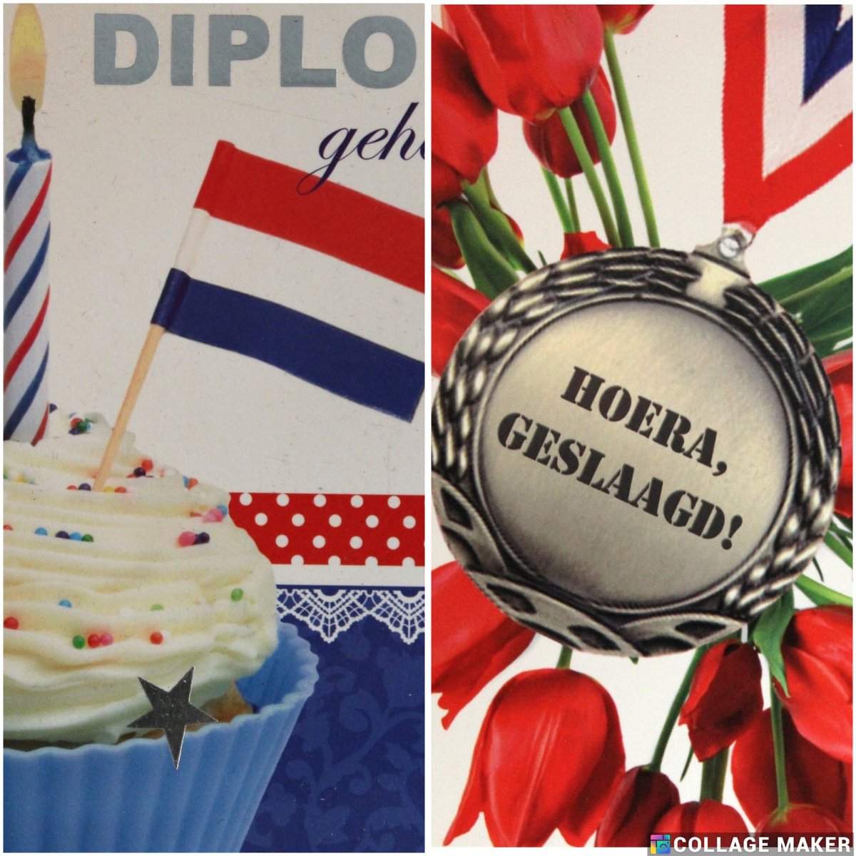 6 Luxe Geslaagd Wenskaarten - Kaart Wens Kaart Examen Geslaagd School Studie Opleiding - 2 Motieven Vierkant 14x14cm Rood Wit Blauwe Envelop - Art of Cards - Gratis Verzonden - Hoge Afnamekortingen