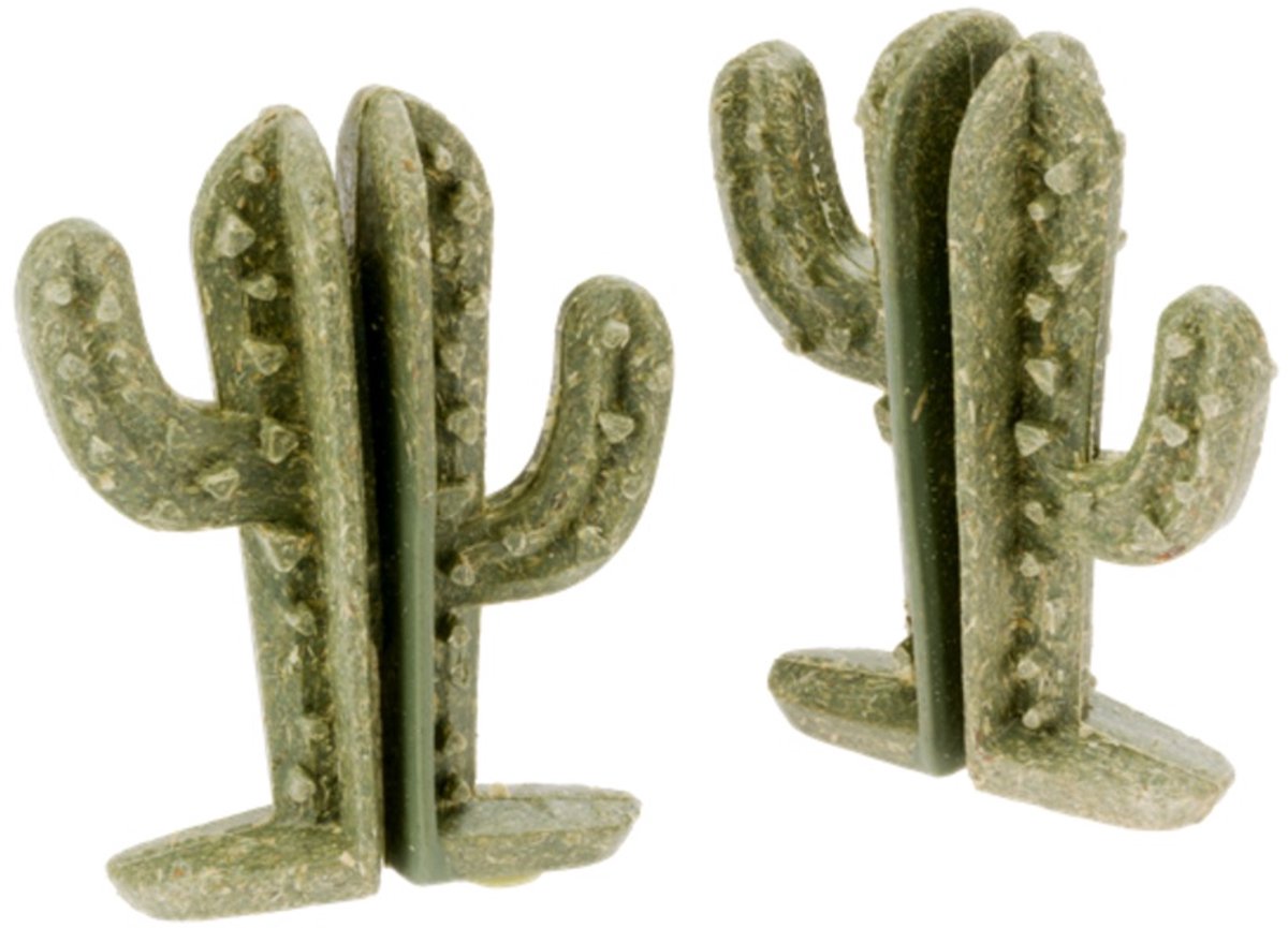 Veggie Bites Cactus 2 st. - Knaagdiersnack