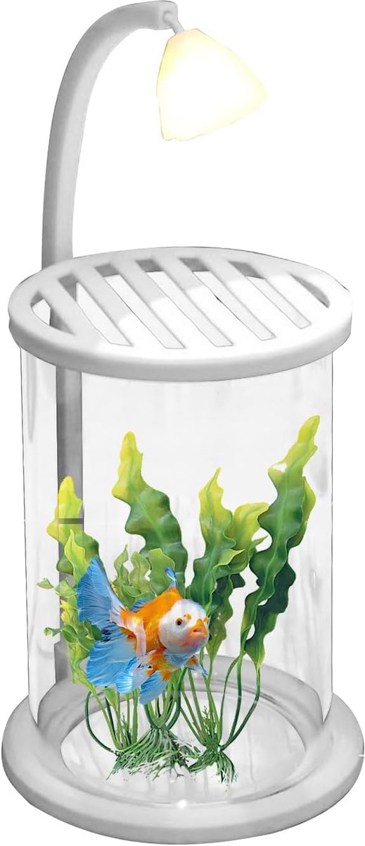 Bureau Aquarium - Decoratie Kom - Kamer Decoreren - Geïntegreerd Nachtlampje - 24.5 x 10 cm - Transparant