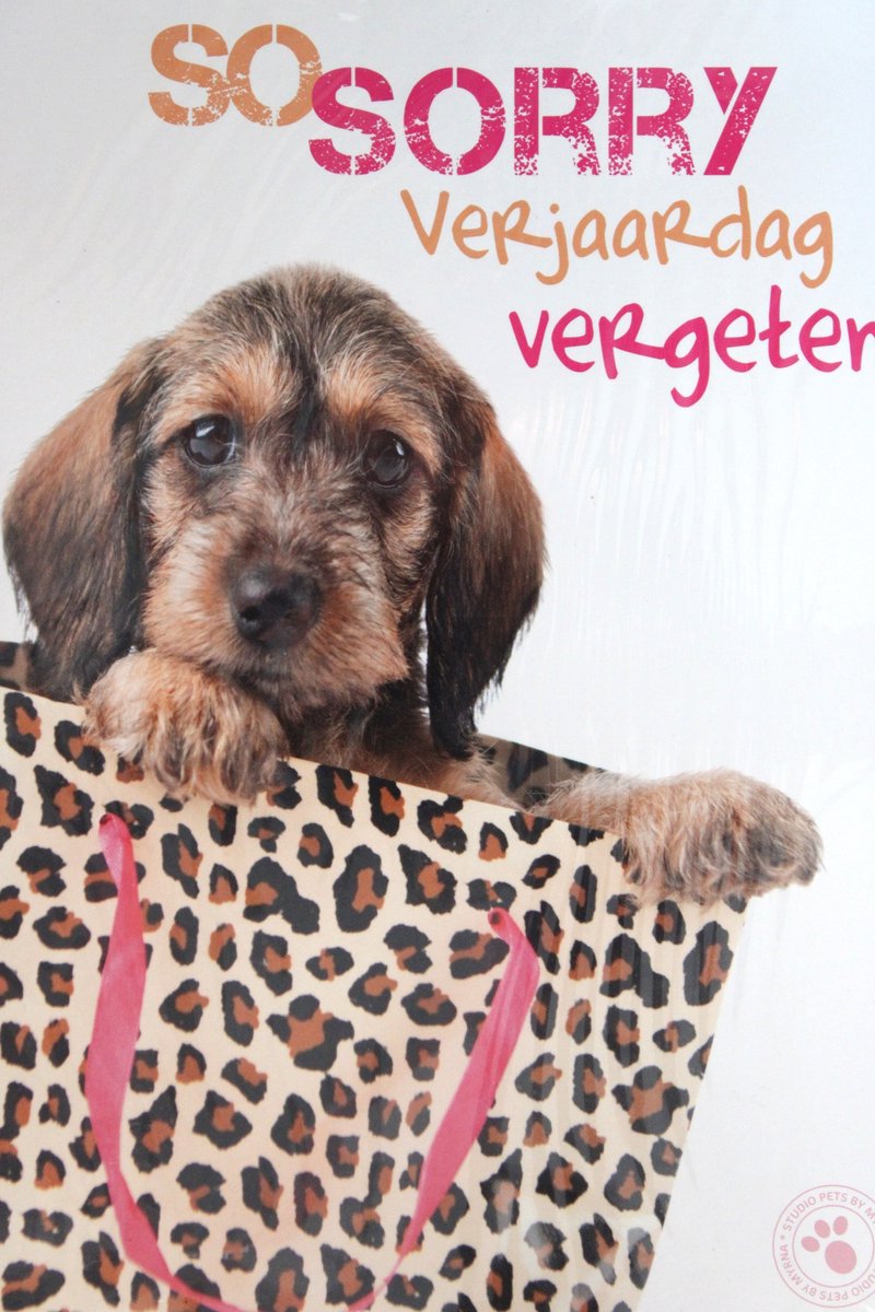 Studio Pets by Myrna - Wenskaart Verjaardag Vergeten - Sorry - 14,5 x 21 cm - Dubbele Kaart - Inclusief Envelop