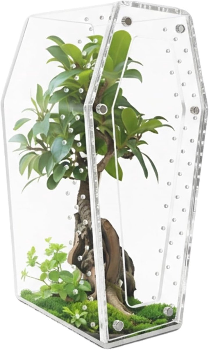 Springspinter Terrarium - Reptielen Habitat - Kleine Wezens Huisvesten - Transparant Acryl Ontwerp - 10x10x20cm
