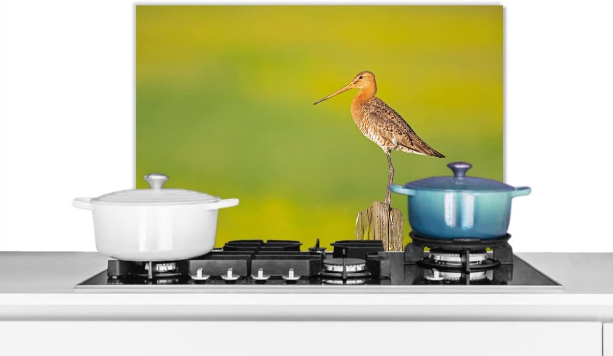 Keuken Spatscherm - Wandpaneel - Koken Beschermen - Eenvoudig te Reinigen - 60x40cm - Multicolor