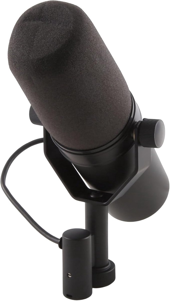 Opname Microfoon - Podcast Microfoon - Live Streamen - Cardioïde Opname - 34x18x12 cm - Zwart