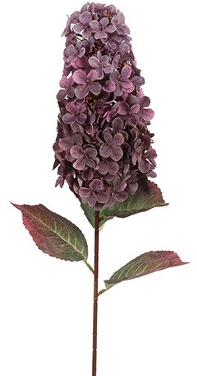 Countryfield Hydrangea Aletta Paniculata Paars - Zijdebloem