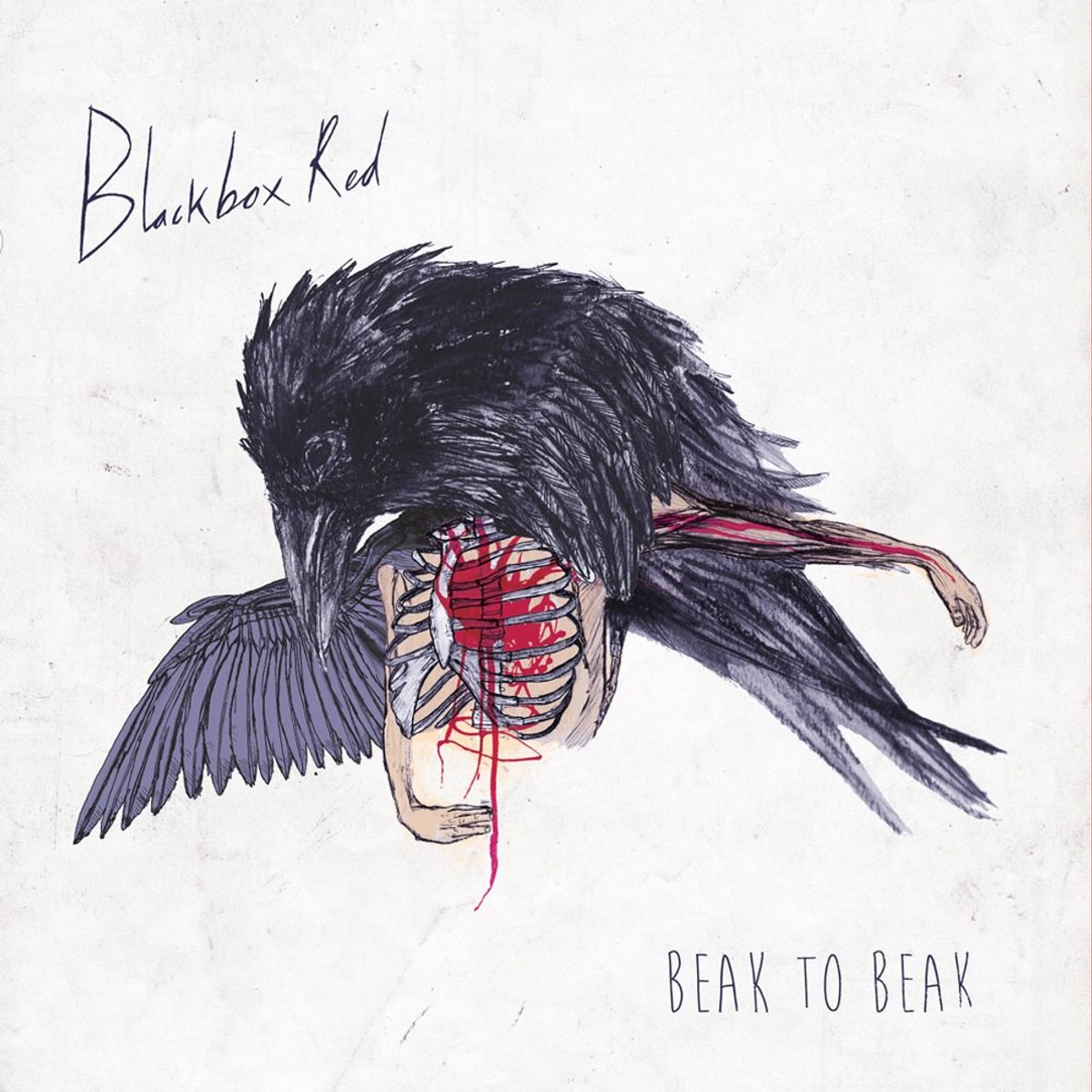 Blackboxred - Beak To Beak (10" LP)