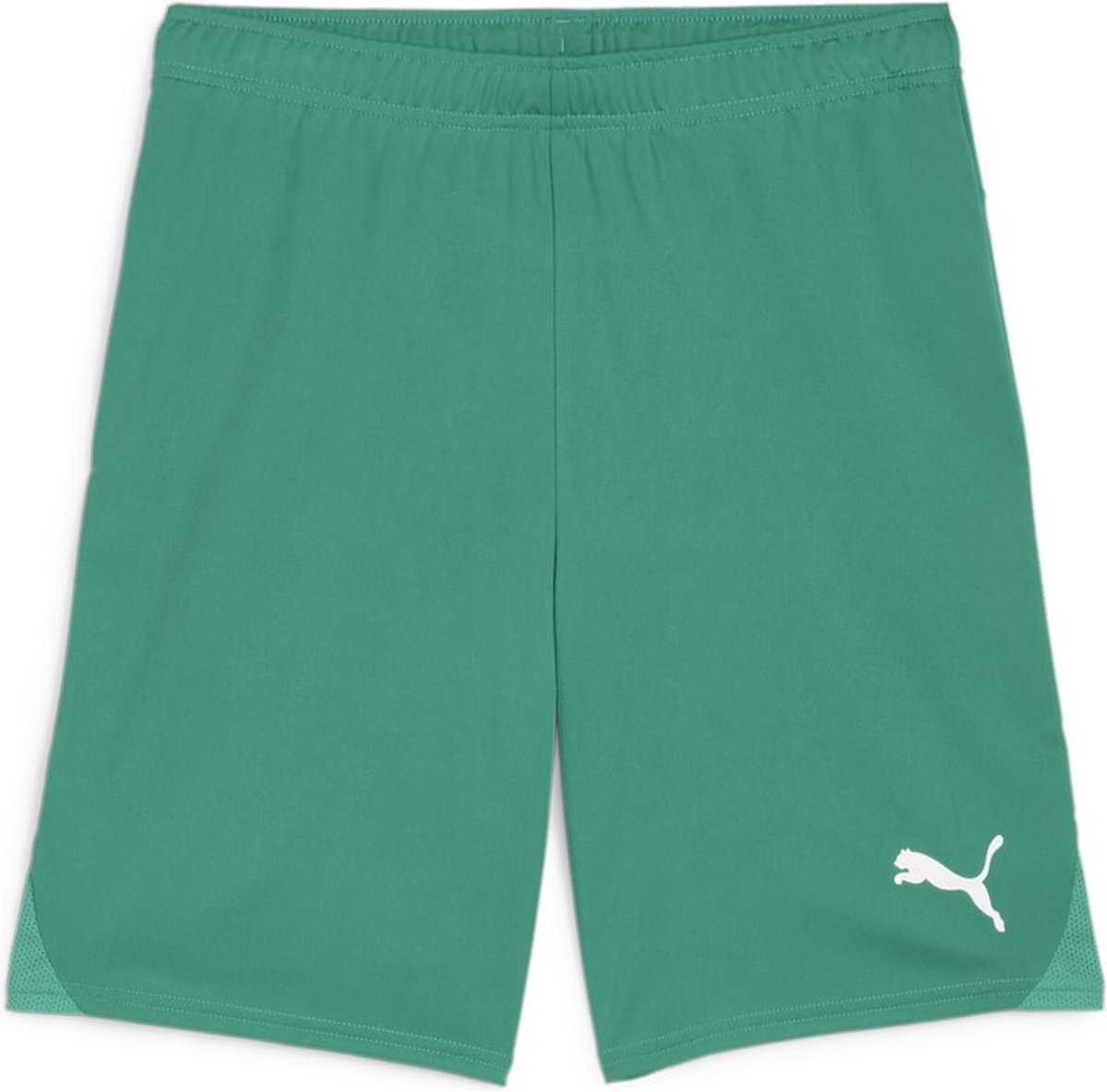 Puma Teamgoal Short Heren - Groen | Maat: 3XL