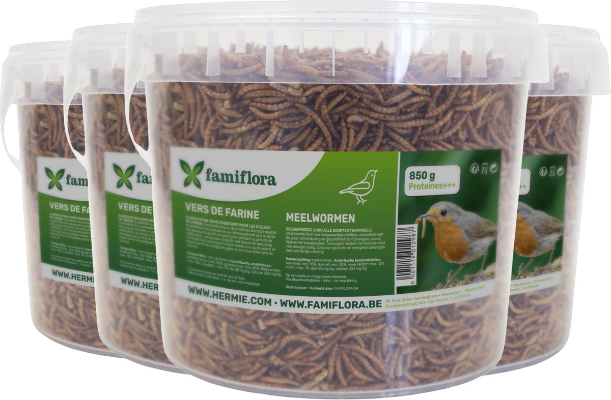 Famiflora gedroogde meelwormen 3,4KG = 4x ± 5L in hersluitbare emmer - voor tuinvogels - Aanvullend diervoeder voor tuinvogels