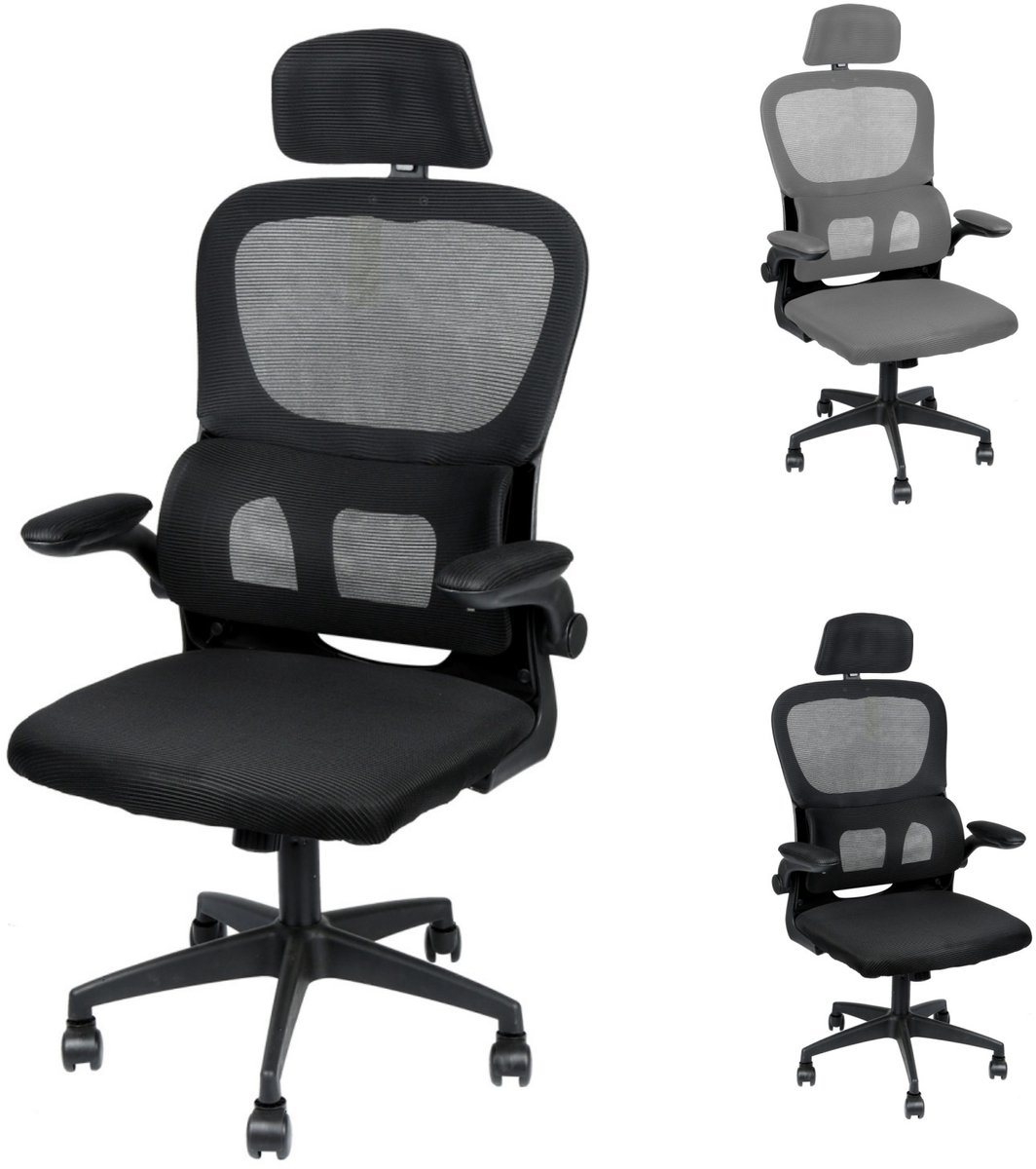 Ergonomische bureaustoel - 3D-armleuningen - Hoog rugleuning - Lendensteun - Hoogteverstelling