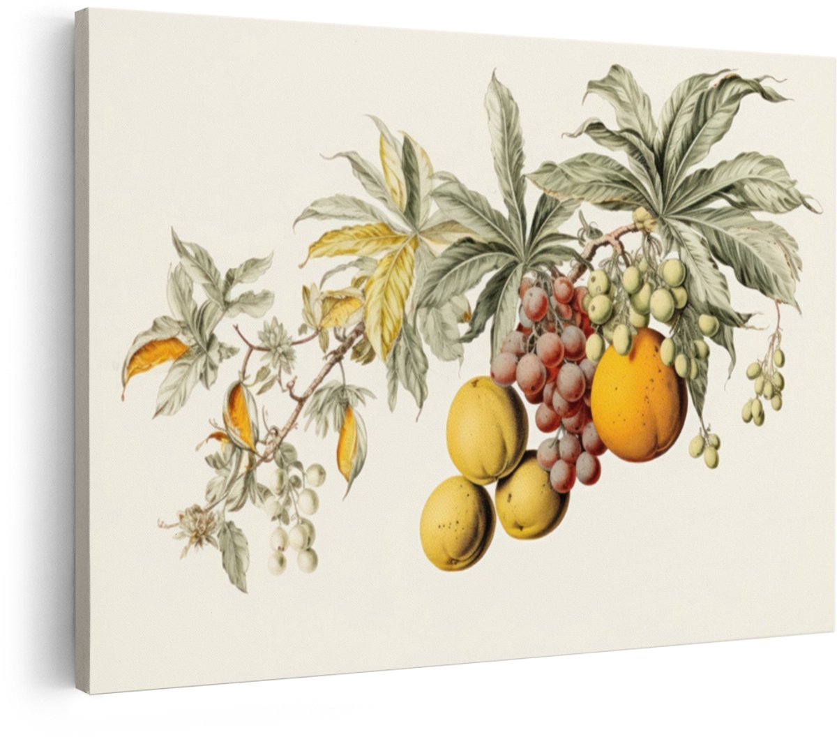 Artaza Canvas Schilderij Botanisch Fruit - 120x80 cm - Wanddecoratie Vintage - Muurdecorat