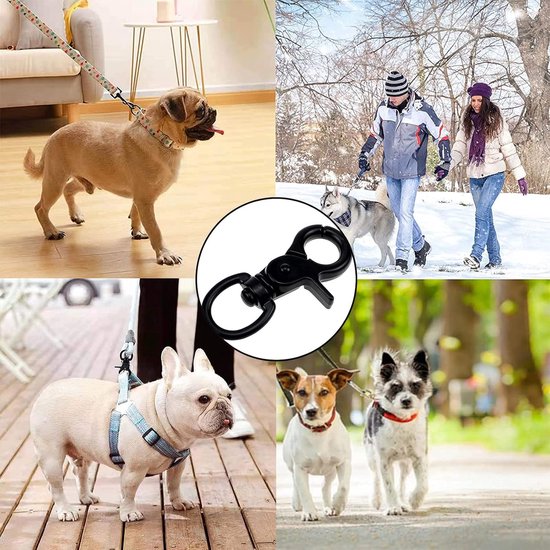 Meerdere honden aan lijnen met karabijnsluitingen in verschillende buitenomgevingen.