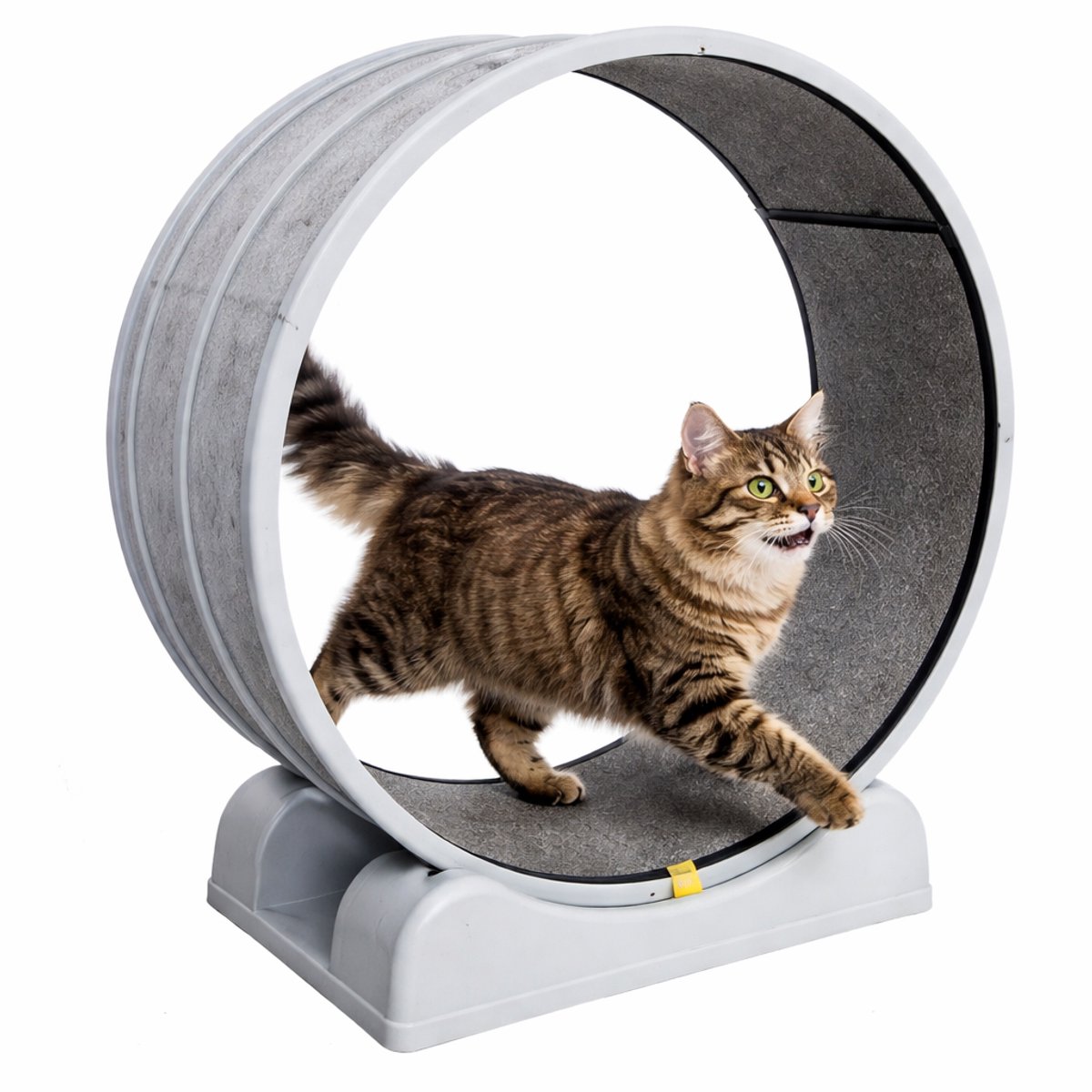 NordHaus Katten Loopwiel - Looprad Kat - Ultra Stil Design - Uitneembare Mat - Stevige Basis - Geschikt tot 32 kg