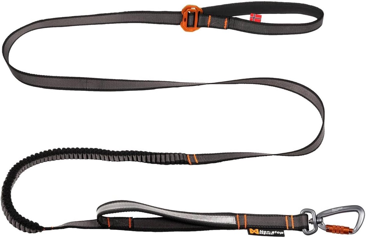 Verstelbare Bungee Lijn - Hondenriem Elastisch - Actieve Wandelingen - Schokabsorberend Ontwerp - 23mm Breedte - Zwart
