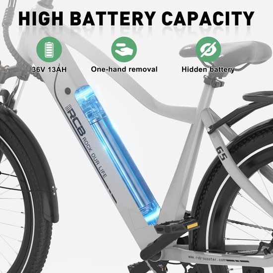 RCB G5 Elektrische Fiets - 27.5 Inch - Lichtgewicht Aluminium Frame - 250W Motor - 36V 13Ah Verwijderbare Batterij - 7 Versnellingen - Met App, NFC & LCD Display - Comfortabel & Roestvrij - Voor Dames en Heren - Actieradius 80km-zilver van RCB — afbeelding 2