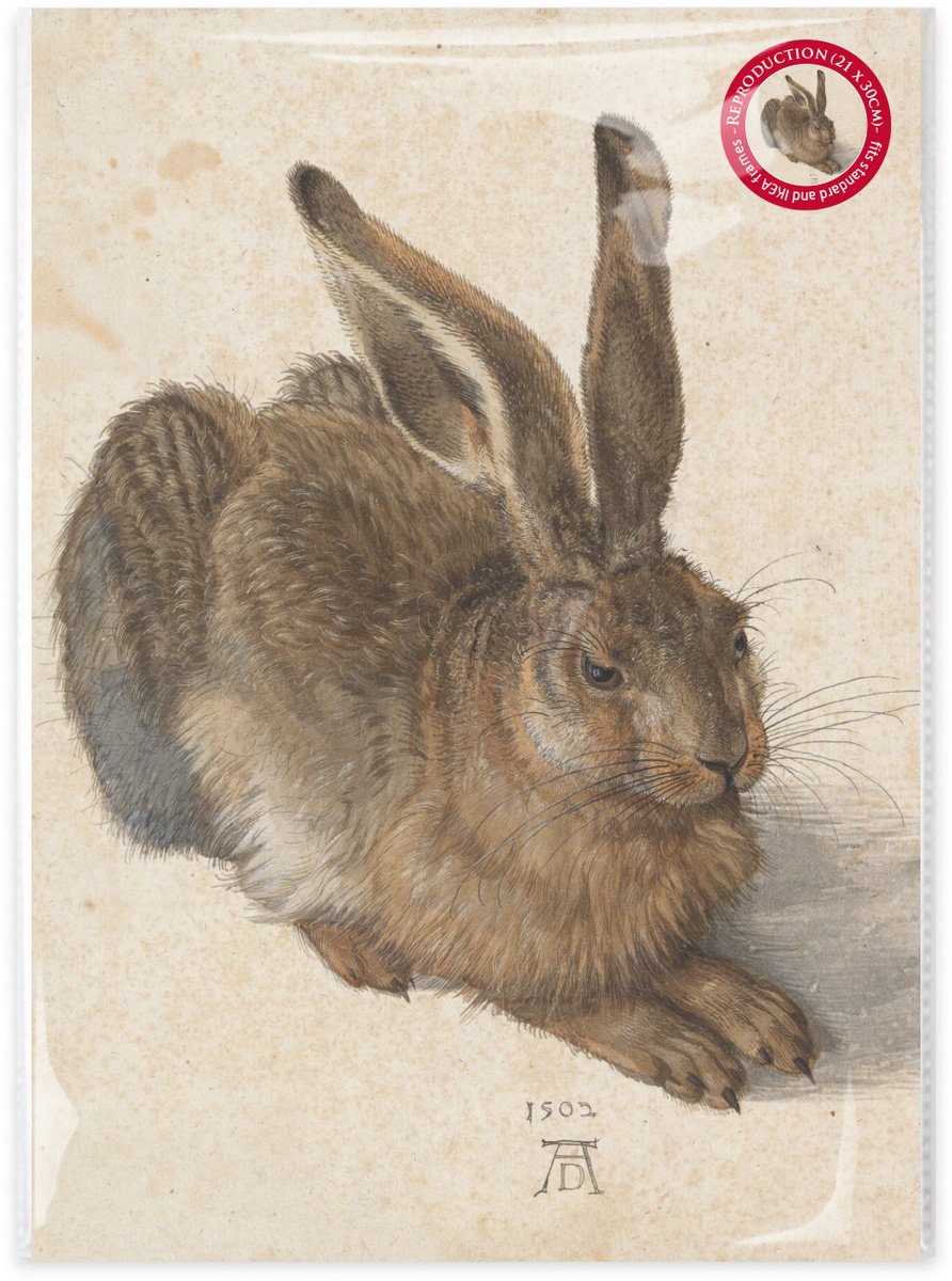 Lanzfeld (museumwebshop.com) Lanzfeld Dürer - Poster Schilderij A4 - De Jonge Haas - Albrecht Dürer - PP Hoes Multi