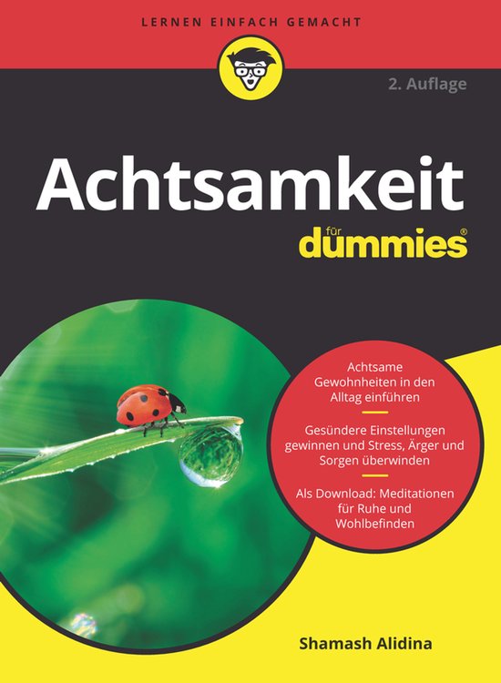 Für Dummies- Achtsamkeit für Dummies - cover