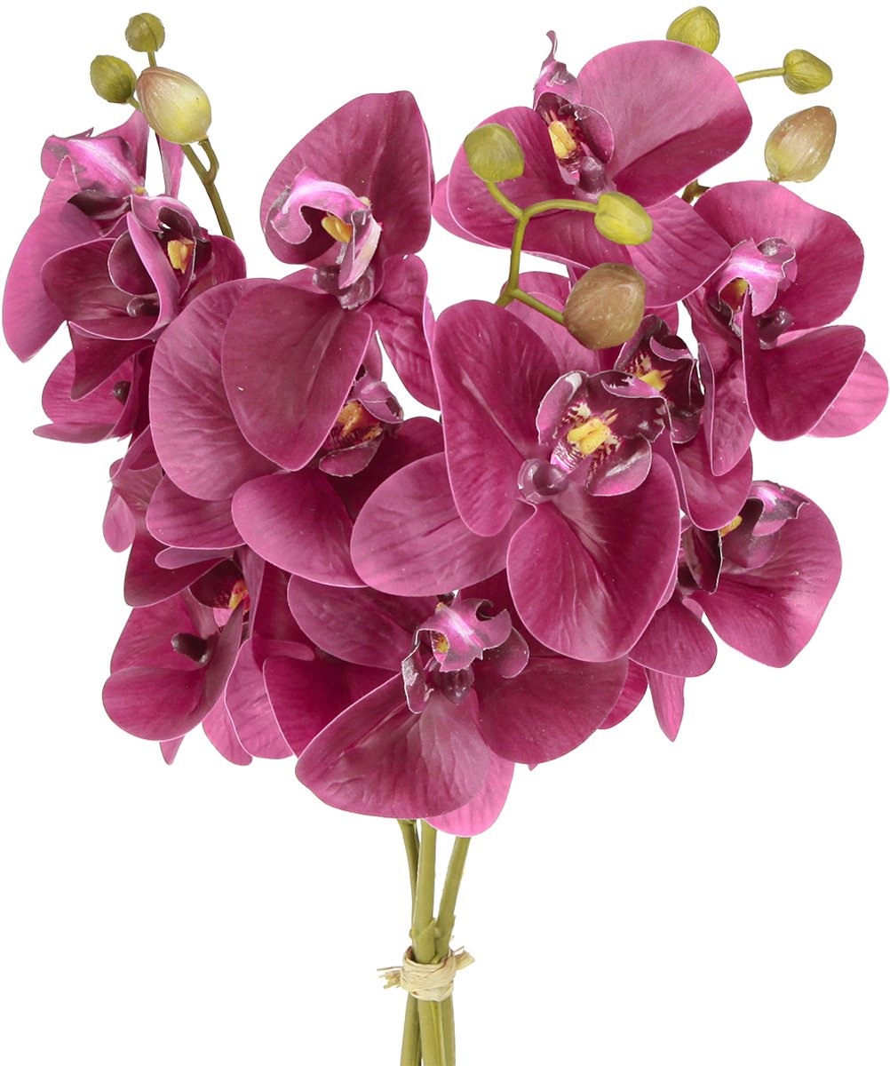 Viana Kunstorchideeën paarse kunstbloemen zoals echt 56cm 3 st, 3 Stück