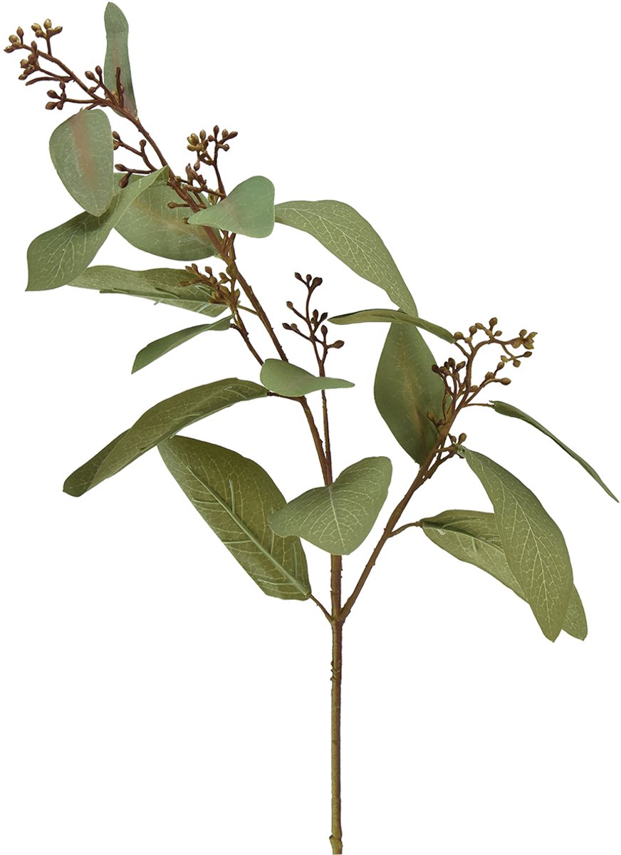 Viana Eucalyptustak kunst siertak groene kunsttak 60cm groente
