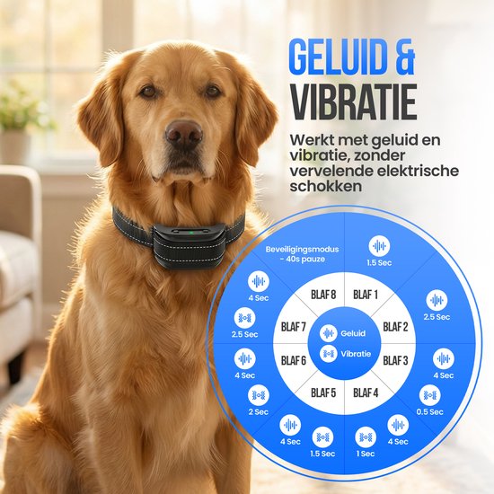 Golden retriever met anti-blafband die werkt op geluid en vibratie, zonder elektrische schokken.