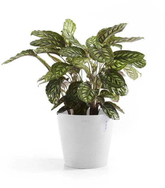Ecopots Amsterdam 30 - Pure White - Ø30 x H25,4 cm - Ronde witte bloempot