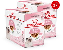 Royal Canin Kitten Natvoer - 24 x 85 gr - in Gravy - Katten Natvoer - Kattenvoer - Voordeelverpakking