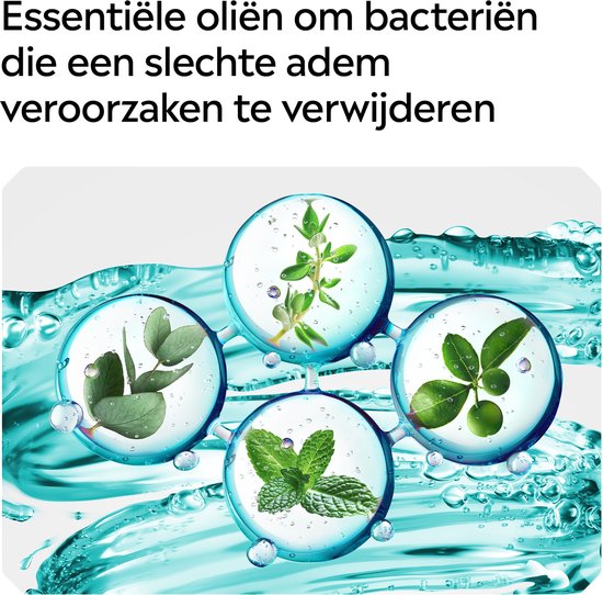 Listerine Cool Mint mondwater - verfrissende mondwaterspoeling voor bestrijding van schadelijke bacteriën voor gezond tandvlees - 3x500ml