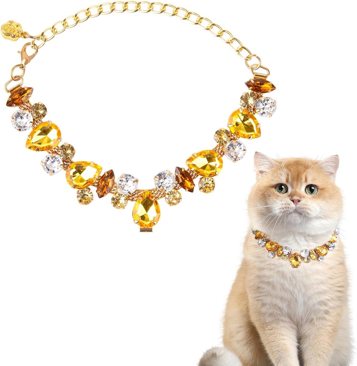 Halsband voor huisdieren & goudkleurige ketting — Verstelbaar ontwerp van roestvrij staal (18–28 cm)