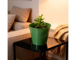 Arti Casa Plantenpot met Ribbelstructuur - Rond Model - Geschikt voor Binnen en Buiten Gebruik - Gemaakt van Metaal - Stijlvolle Uitstraling - Afmeting Ø18 x H16 cm - Kleur Groen