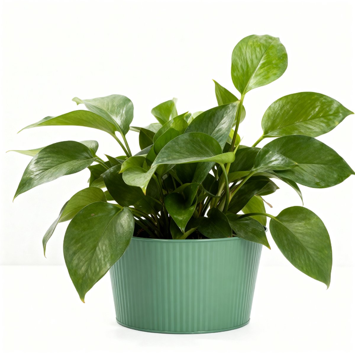 Plantpot Ø25xh14cm