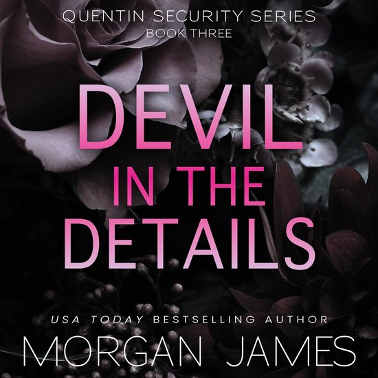 Devil in the Details - cover