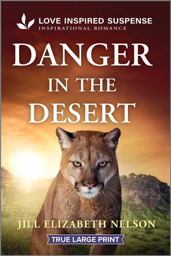 Danger in the Desert - cover