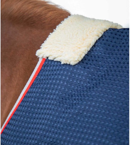 Close-up van de schoft van een paard met een donkerblauwe deken met witte teddy voering en rode/grijze bies.