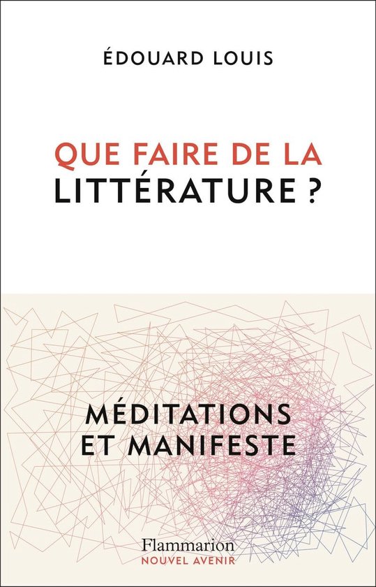 Boek 'Que faire de la littérature ?' door Édouard Louis. Met tekst 'Méditations et manifeste' en Flammarion logo.