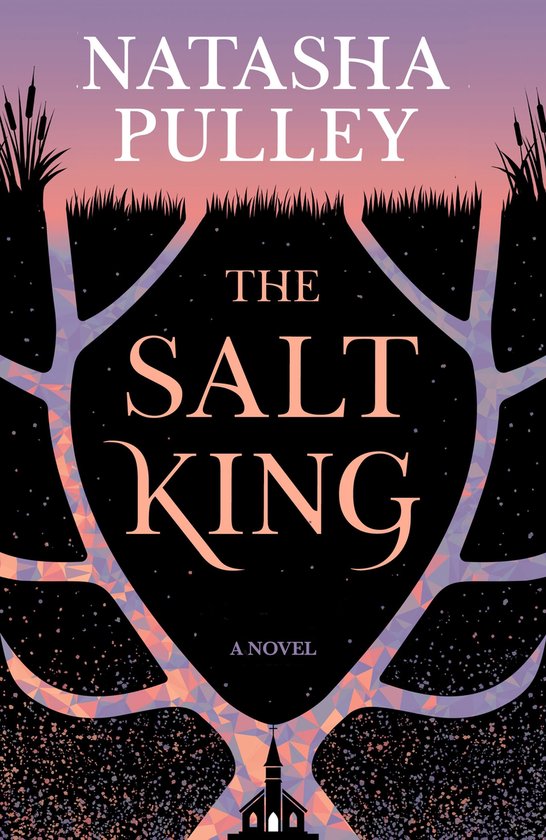 The Salt King - cover