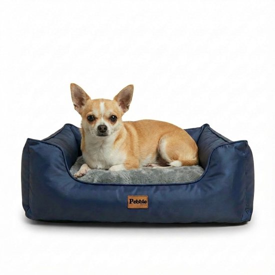 Do Not Disturb Plastic Dog Bed, 60 cm, Black