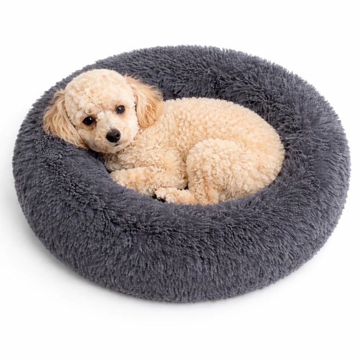 Bol.com Dailyibed hondenmand - donut - hondenkussen - hondenbed - L - 60x60x16 cm - Antraciet aanbieding