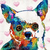 Diamond painting Chihuahua 40 x 50 cm