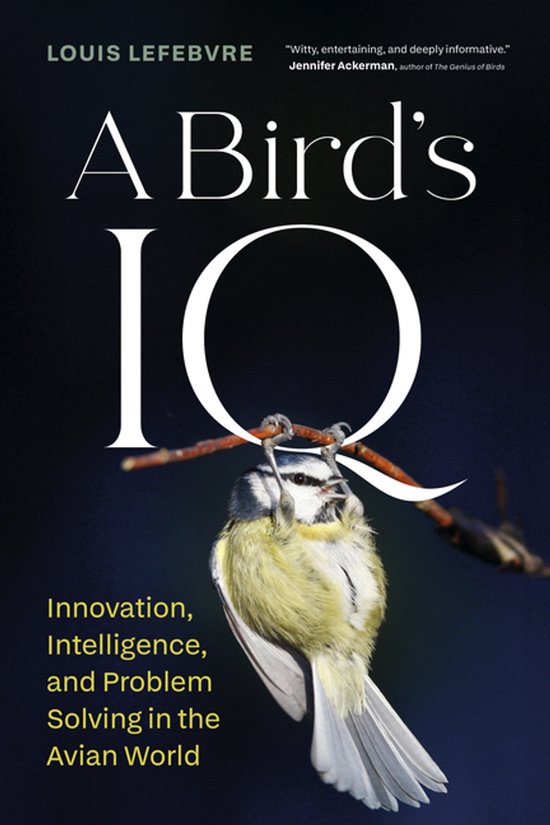 A Bird's IQ - cover
