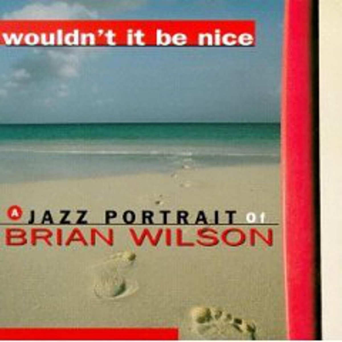 Muziekalbum: Jazz Portret van een Iconische Zanger en Songwriter