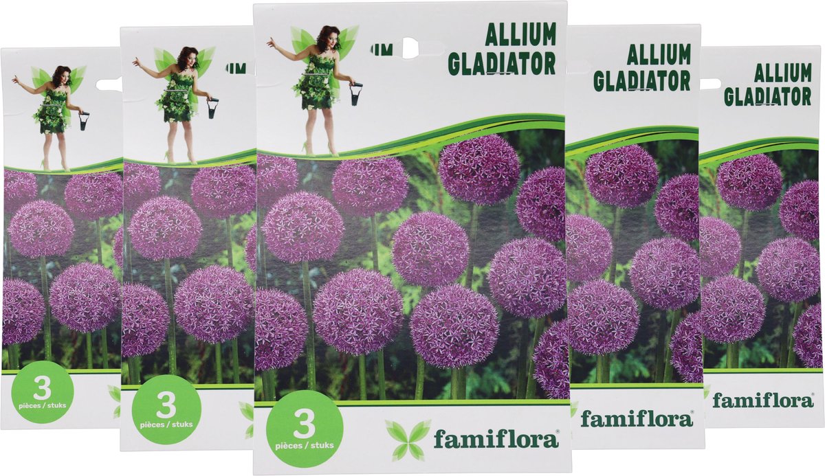 Famiflora Allium Gladiator 5 x 3 - 15 bloembollen - Trekt bijen en vlinders aan voor een gezonde tuinecosysteem - Voegt een majestueuze uitstraling toe die bewondering oogst