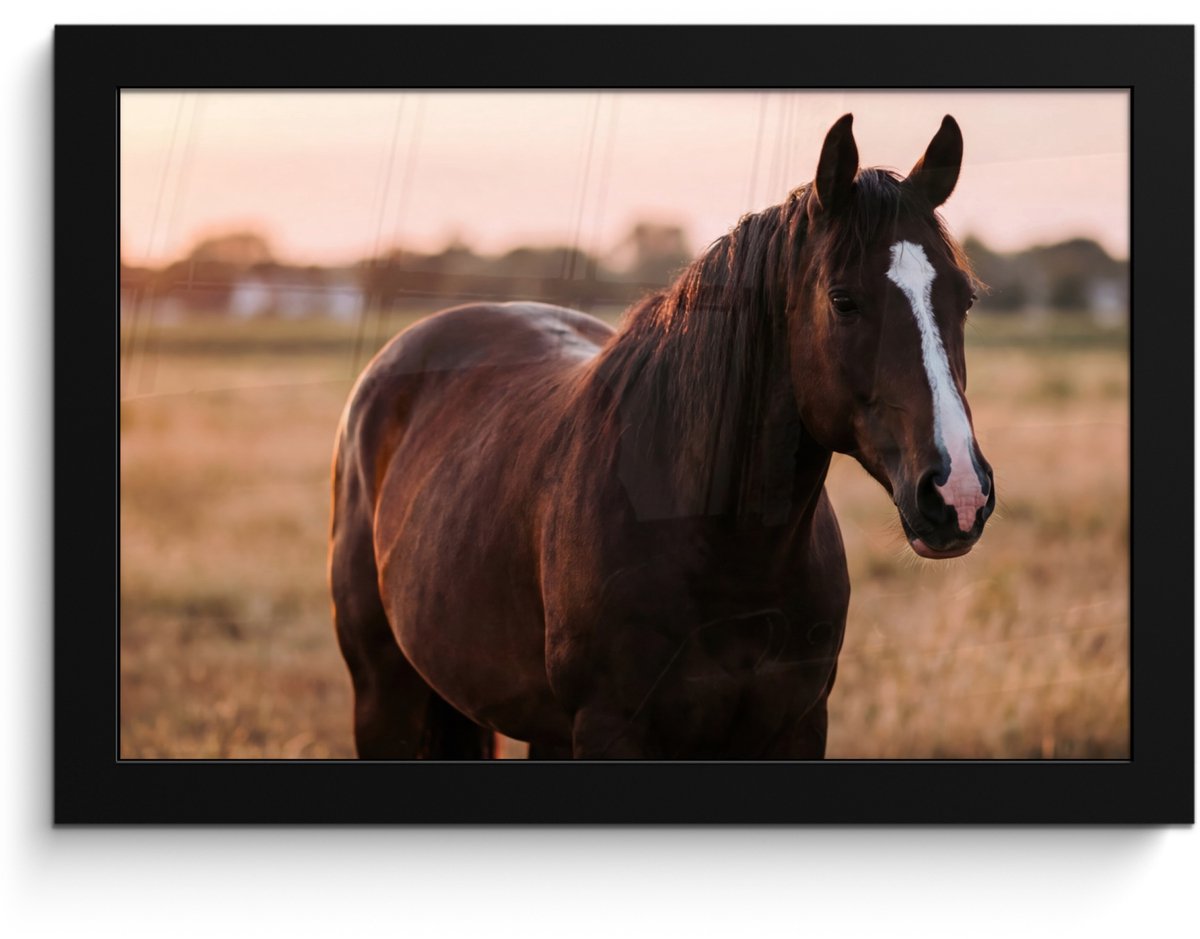 FrameYourWall Poster in lijst - Fotolijst 30x20 cm - Posters - Paard - Zonsondergang - Bruin - Posterlijst zwart - Decoratie - Wanddecoratie woonkamer - Muurdecoratie slaapkamer Multicolor