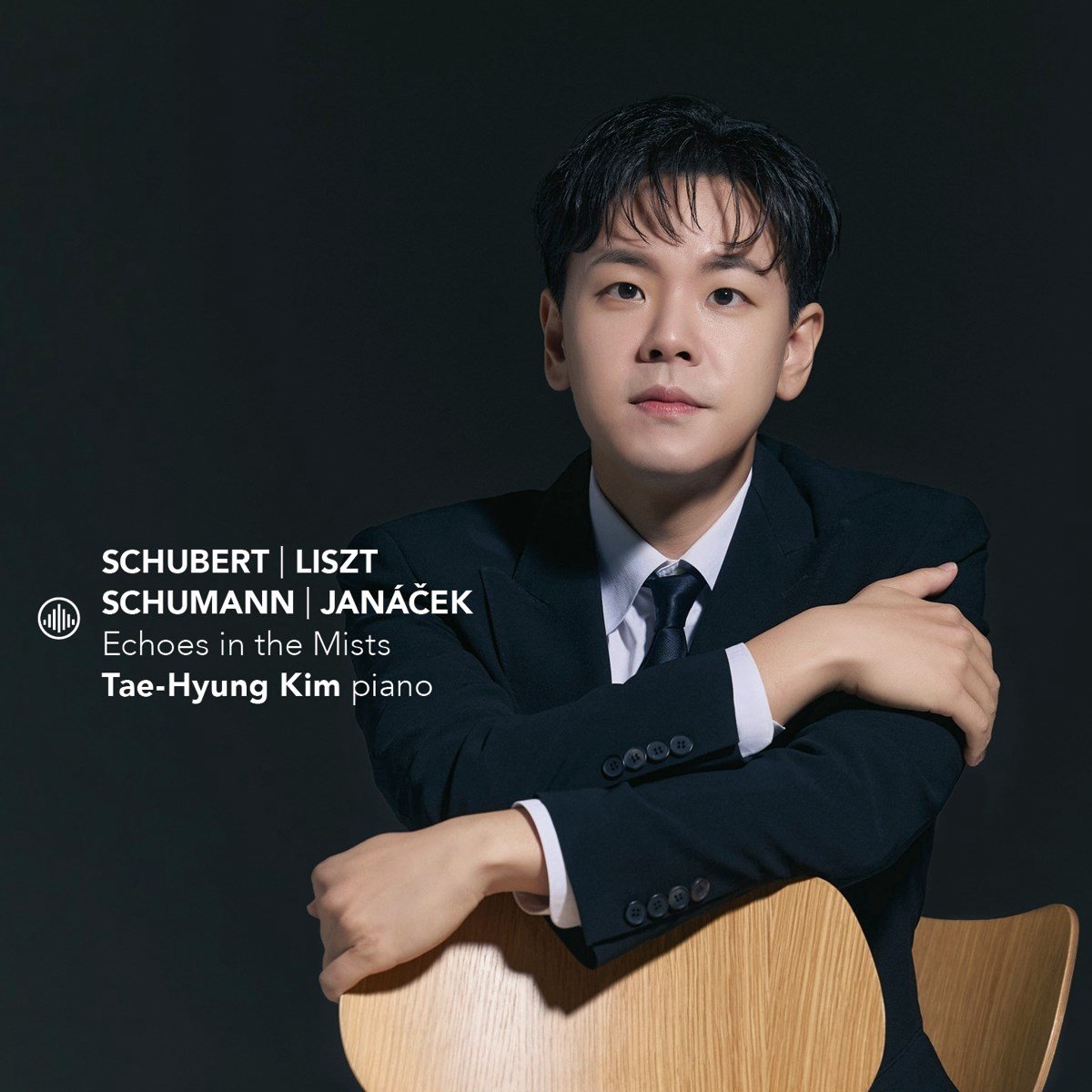 Schubert/Liszt/Schumann/Janacek: Echoes in the Mists