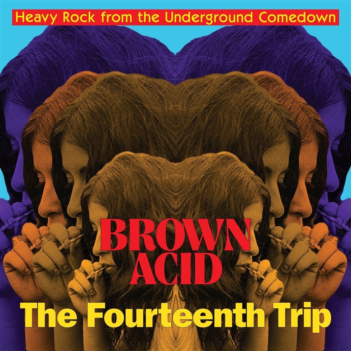 Various Artists - Brown Acid: The Fourtheenth Trip (LP)