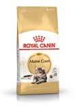 Gouden zak Royal Canin Maine Coon adult kattenvoer met een afbeelding van een Maine Coon kat op de voorkant.