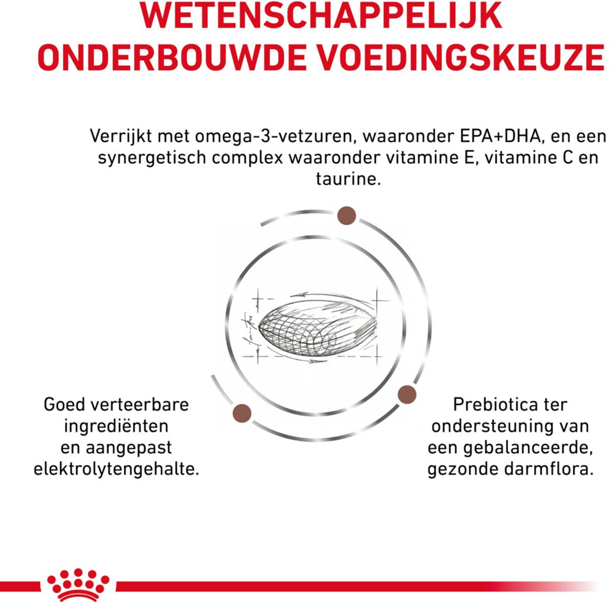 Royal Canin - Hondenvoer Droog Gastrointestinal Low Fat Small Dog - 1,5 kg thumbnail 4