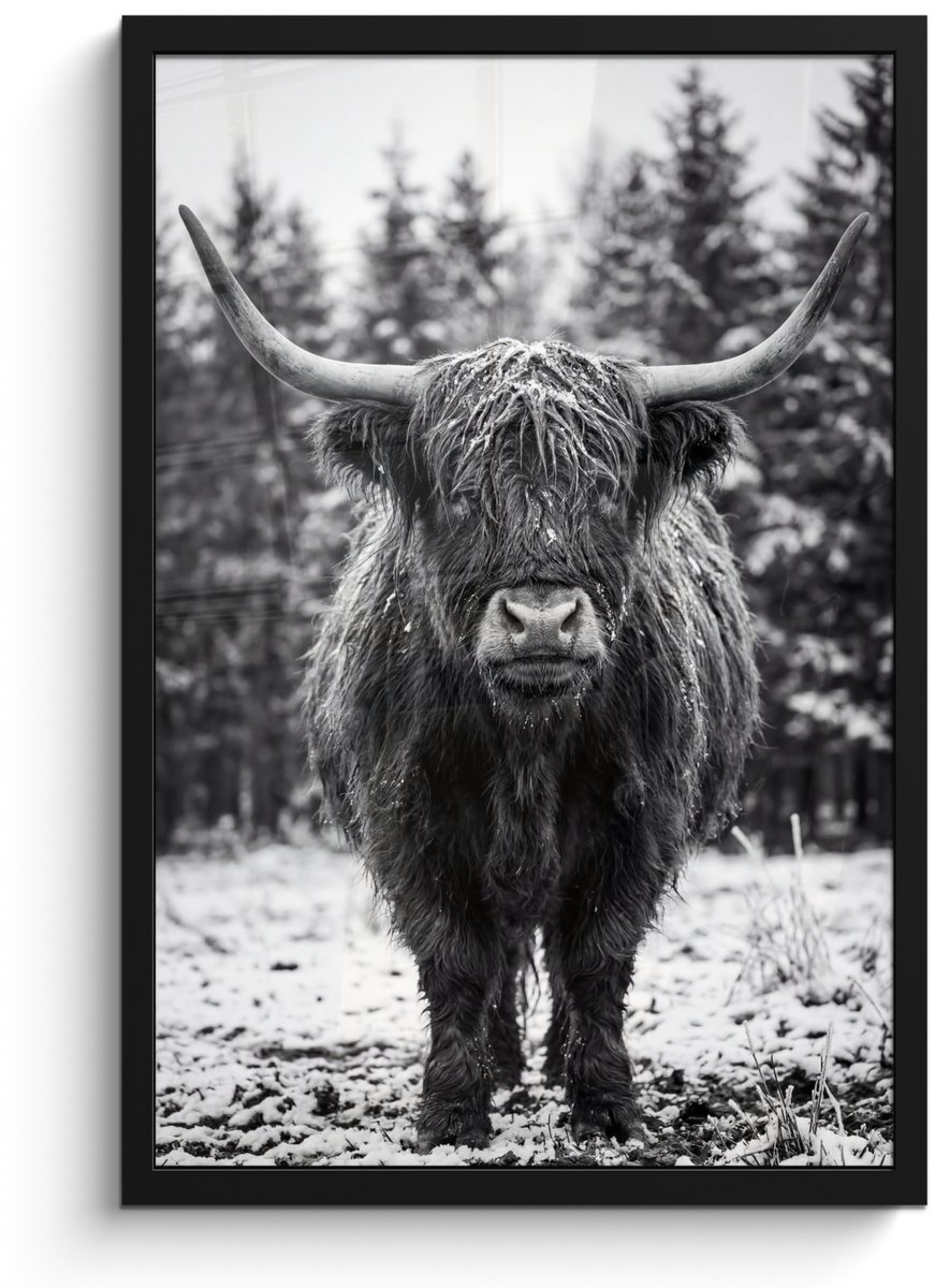 FrameYourWall Poster in lijst - Fotolijst 40x60 cm - Posters - Schotse hooglander - Zwart - Wit - Sneeuwvlokken - Posterlijst zwart - Decoratie - Wanddecoratie woonkamer - Muurdecoratie slaapkamer
