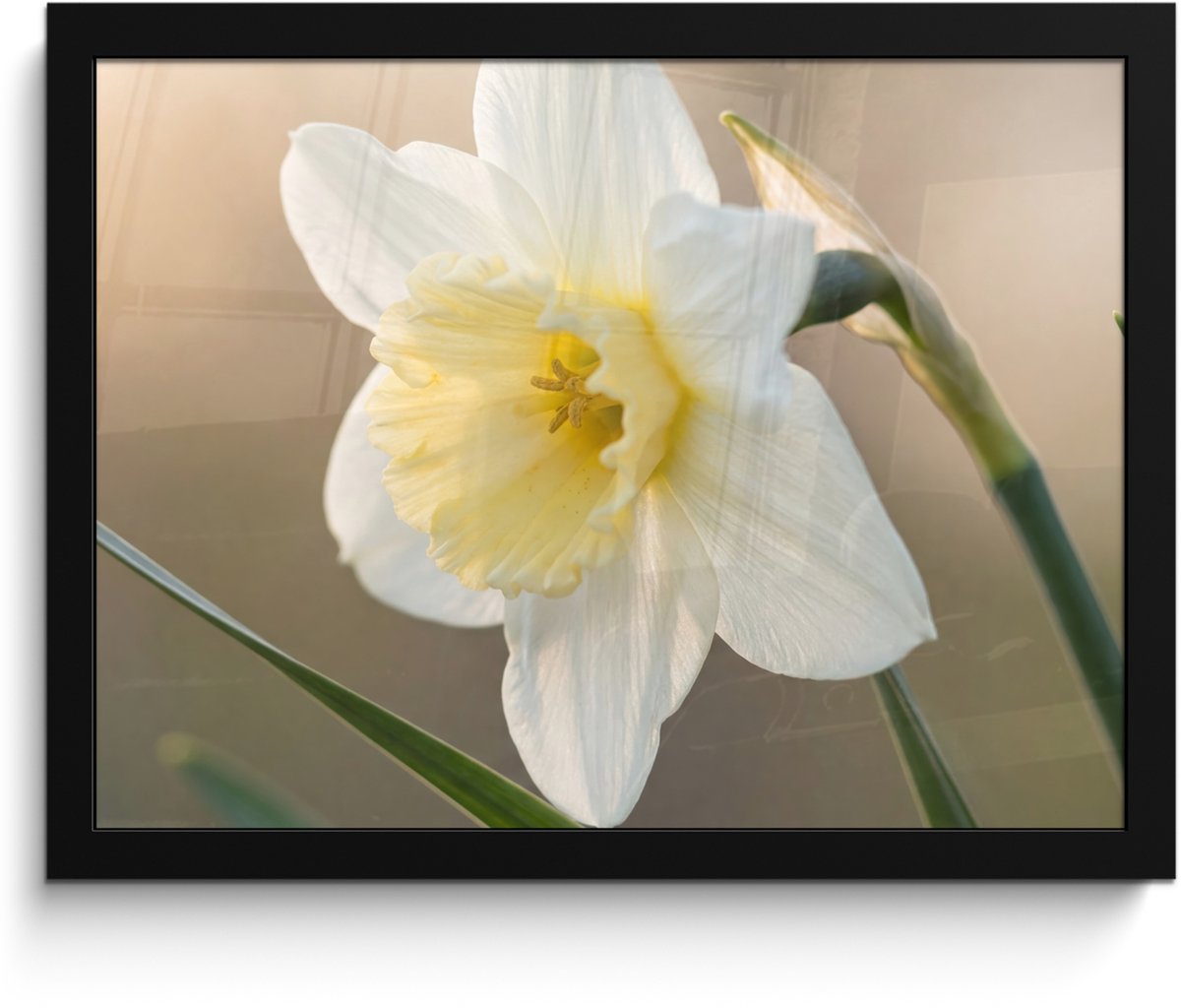 FrameYourWall Poster in lijst - Fotolijst 40x30 cm - Posters - Narcis - Bloem - Minimalistisch - Posterlijst zwart - Decoratie - Wanddecoratie woonkamer - Muurdecoratie slaapkamer Narcist - Bloem - Minimalistisch