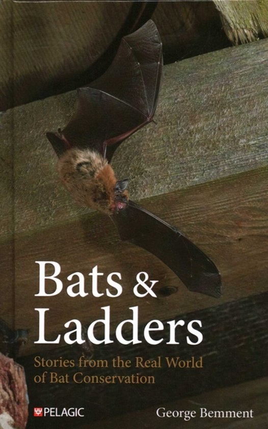 Bat Biology and Conservation- Bats & Ladders - cover